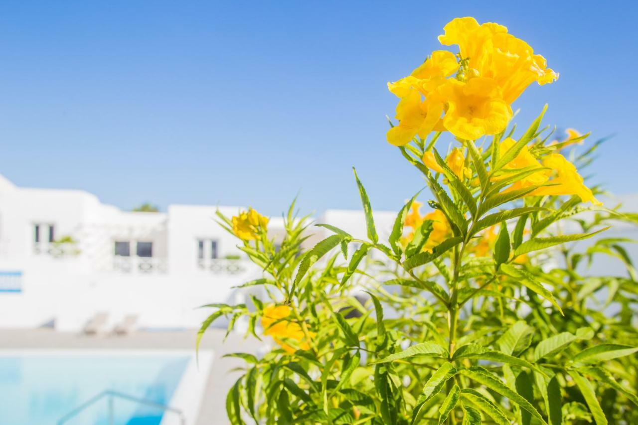 Flower Beach Suite 6 Playa Honda  Exterior photo
